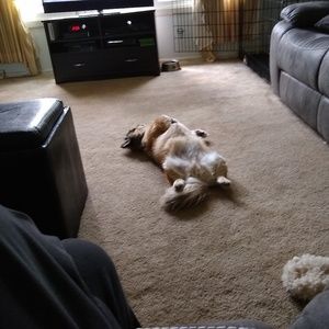 Meet your Posher, Linda